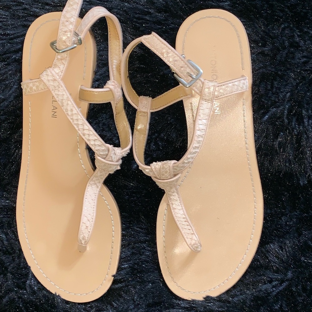 Antonio Melani Tan Leather Sandals